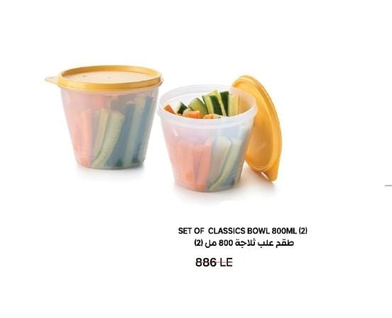 Set of Classic Bowls 800MI (2)
