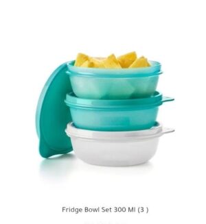 Fridge Bowl Set 300 MI (3)