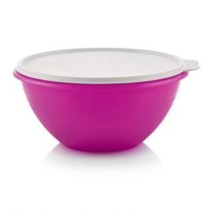 Wonderlier Bowl 2.4L