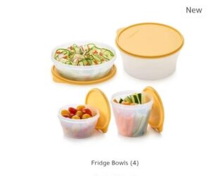 Fridge Bowls (4)