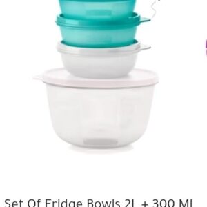 Set of Fridge Bowls 2L + 300MI (3)