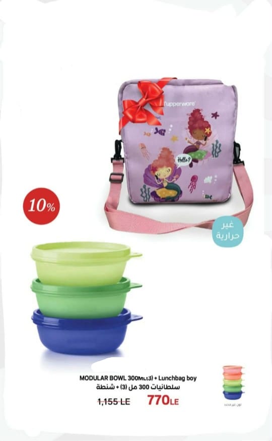 Small  Container Bowl Set of 3 * 300 ml.+bag